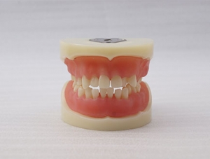 ZM-DSC02381_E15醫師認證拔牙模型