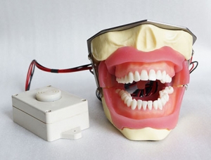ZM-DSC02428_E16蜂鳴器的拔牙麻醉模型