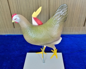雞模型