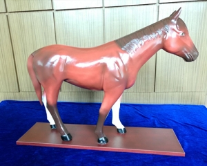 馬模型