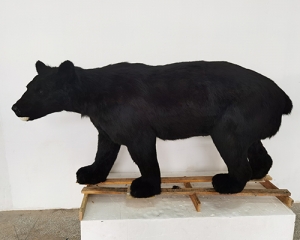 Longqishan simulated black bear